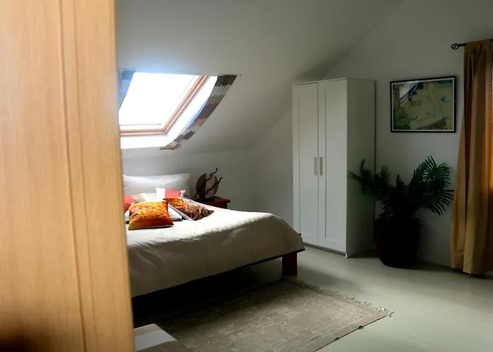 Madeira Native Motion Apartment